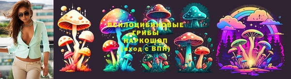 PSILOCYBIN Карпинск