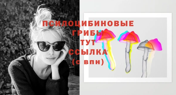шишки Касимов