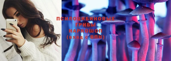 PSILOCYBIN Карпинск