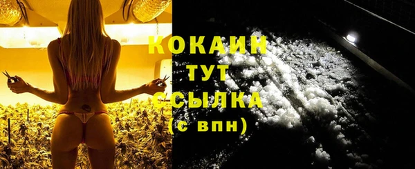 шишки Касимов