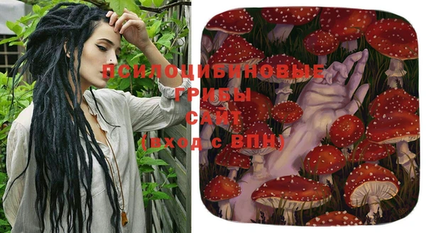 шишки Касимов