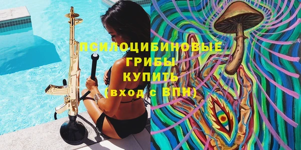 PSILOCYBIN Карпинск