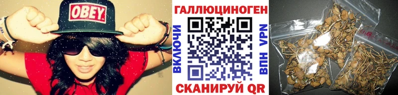 Галлюциногенные грибы Psilocybine cubensis  Купить закладки  Карабаново 